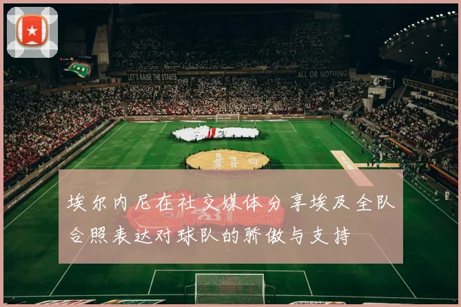 埃尔内尼在社交媒体分享埃及全队合照表达对球队的骄傲与支持