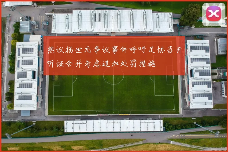 热议杨世元争议事件呼吁足协召开听证会并考虑追加处罚措施