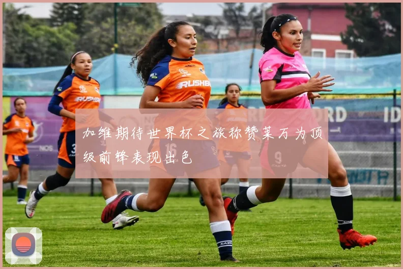 加维期待世界杯之旅称赞莱万为顶级前锋表现出色